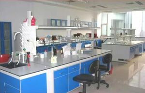 多肽技术研发中心具备较强研发基础和科研能力